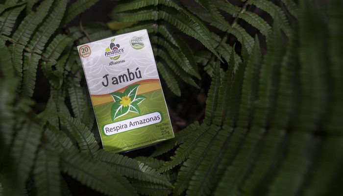 jambú - producto - negocios verdes